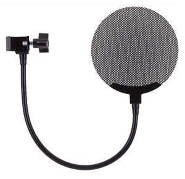 Royer Labs PS101