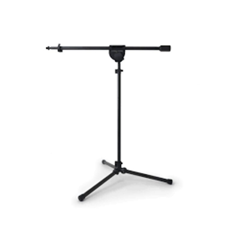 Latch Lake Music micKing 1100