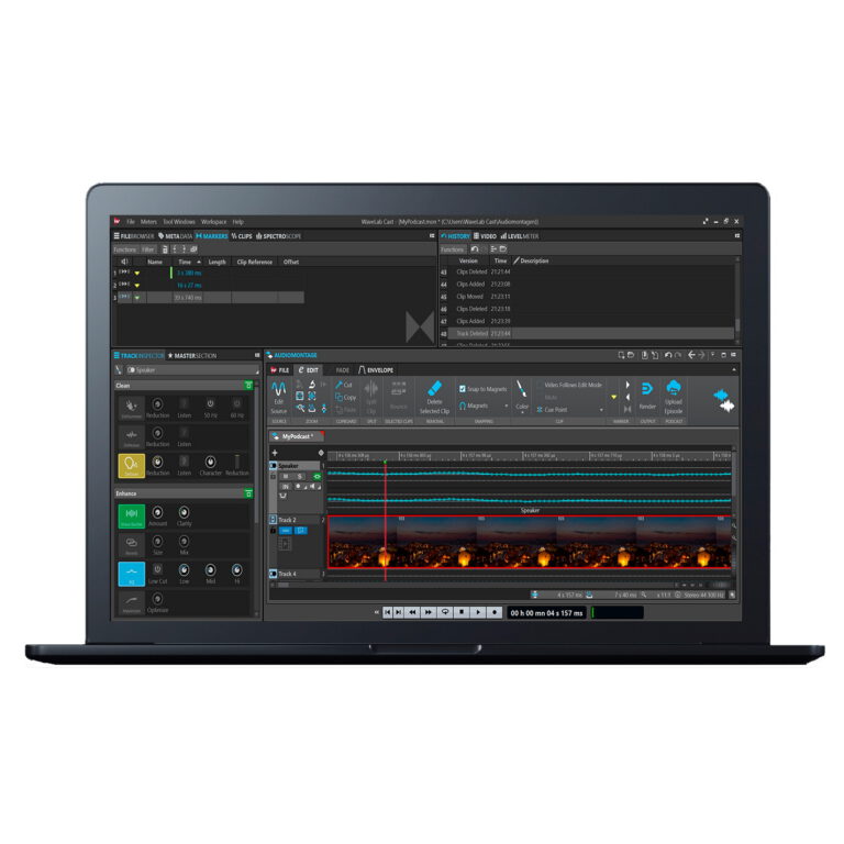 Steinberg Wavelab Cast